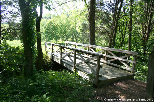 Bridge Bridge