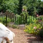 002 Wildlife Photo Album-BMIF
