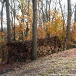 006 Wildlife Photo Album-BMIF