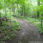 008 Wildlife Photo Album-BMIF