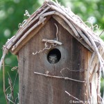 011 Wildlife Photo Album-BMIF
