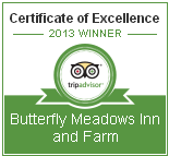 2013 Certificate of Excellence-Trip Advisor