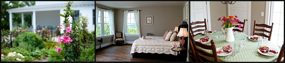 Bed and Breakfast