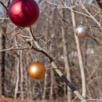 Holiday Events