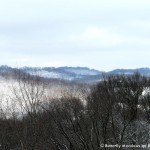 Landscape Winter