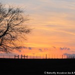 Sunset across driveway