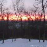 Sunset snow