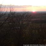 sunset view